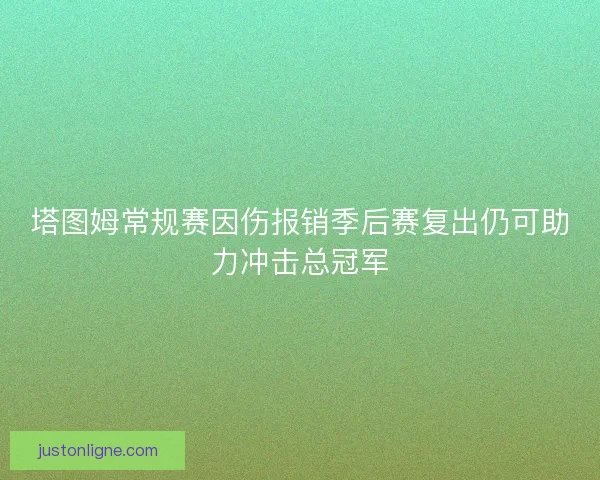 塔图姆常规赛因伤报销季后赛复出仍可助力冲击总冠军