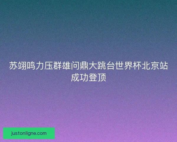 苏翊鸣力压群雄问鼎大跳台世界杯北京站成功登顶