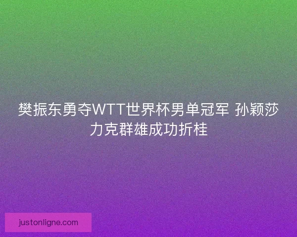 樊振东勇夺WTT世界杯男单冠军 孙颖莎力克群雄成功折桂